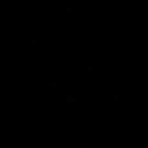 Meet your Posher, Brandon leigh